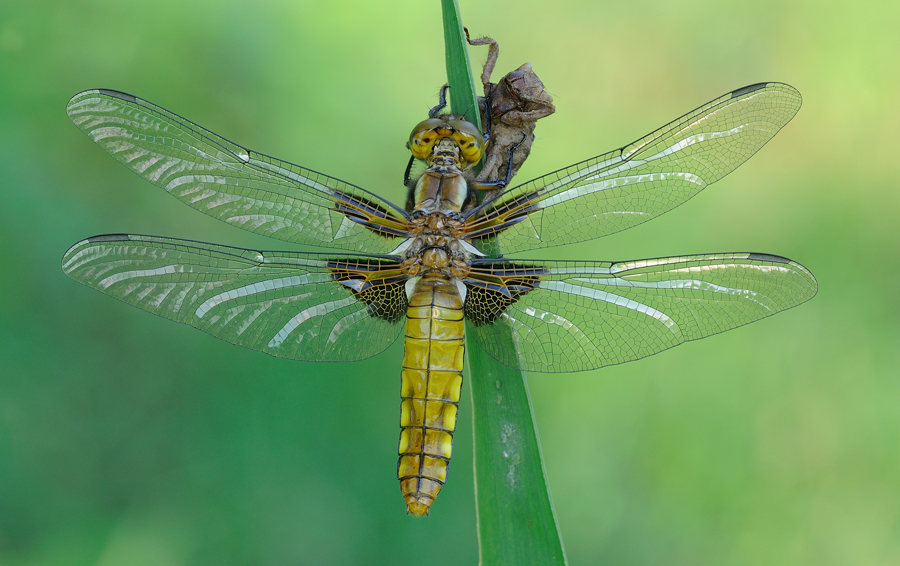 fra passato e futuro...