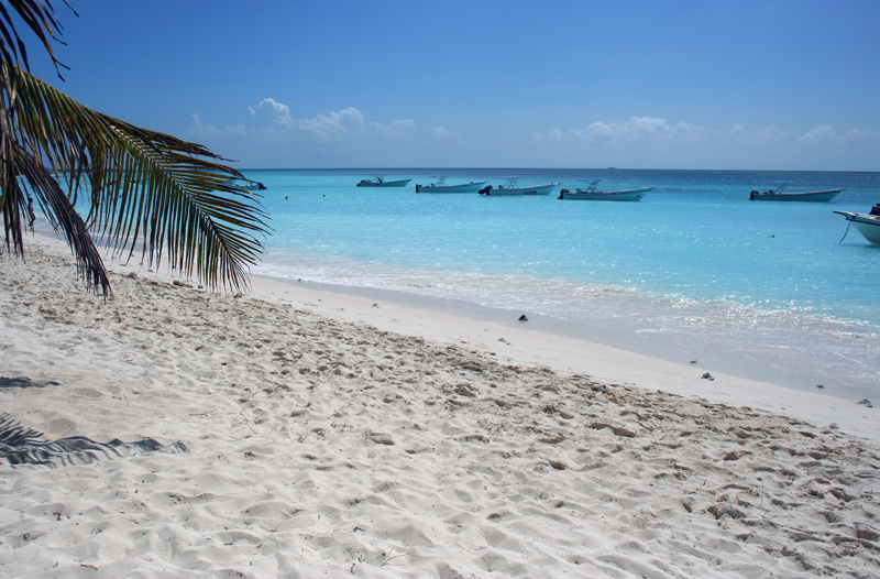 Cartolina de Isla Saona