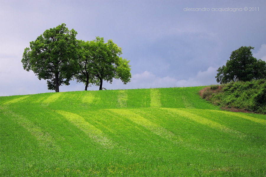Nel verde di Camerino