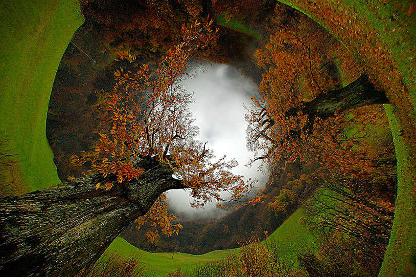 Vertigo: l'occhio della natura