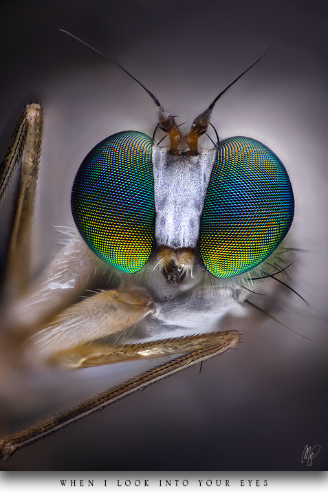 When I look into your eyes