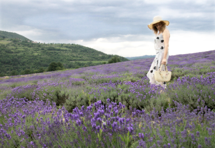 Nelle Basse Langhe una piccola Provenza