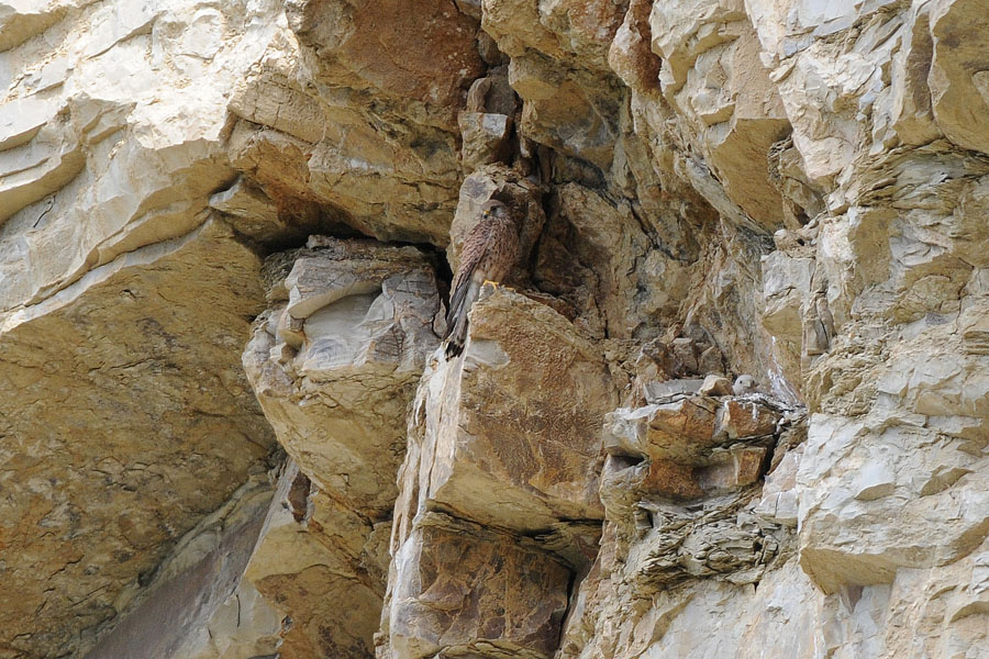 la mia mamma mi protegge!!