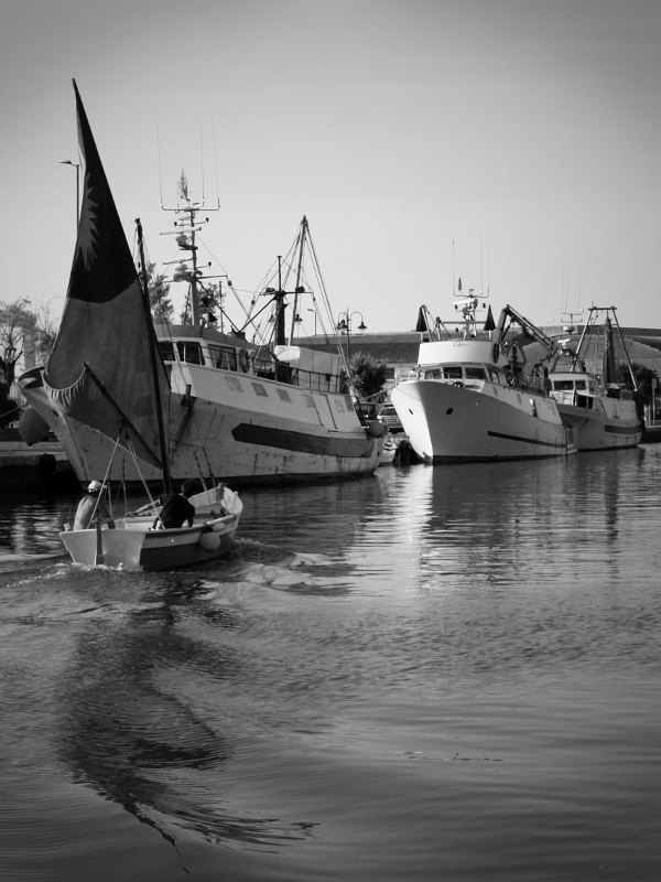 Mezzi di trasporto [contest - 55]