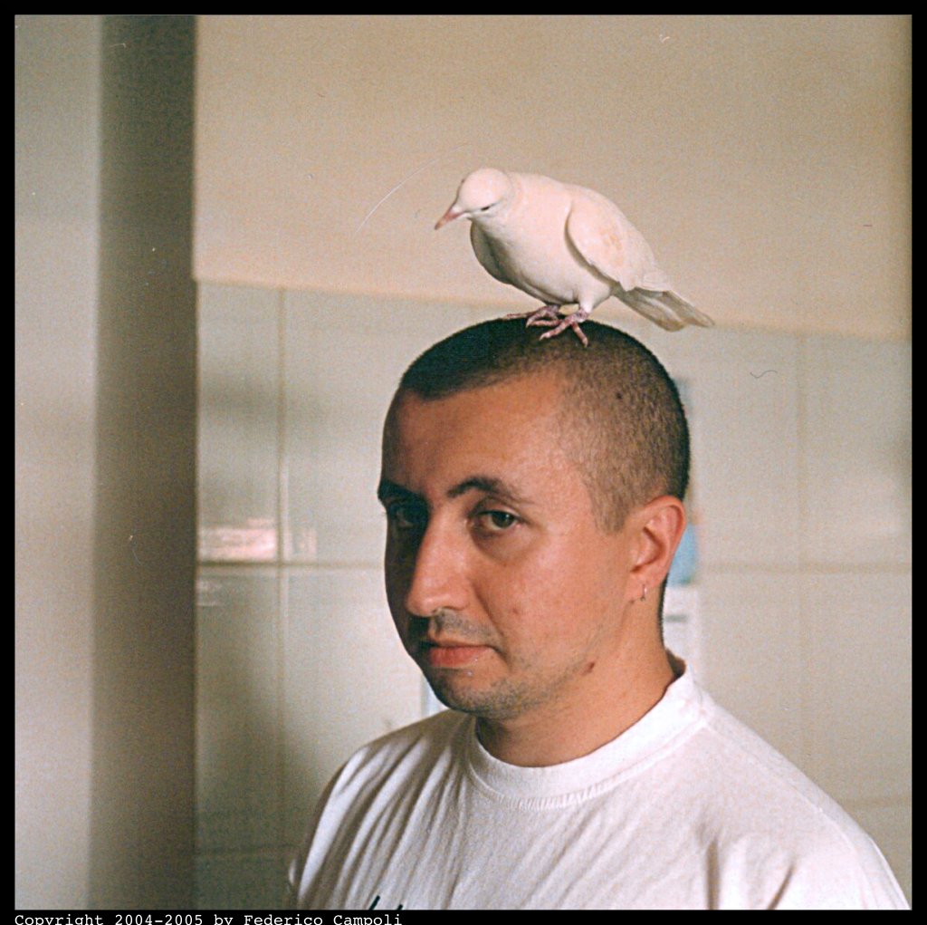 Autoritratto con colomba