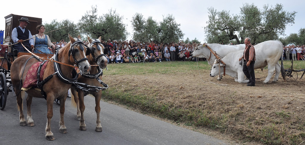300� anniversario traslazione di San Zopito