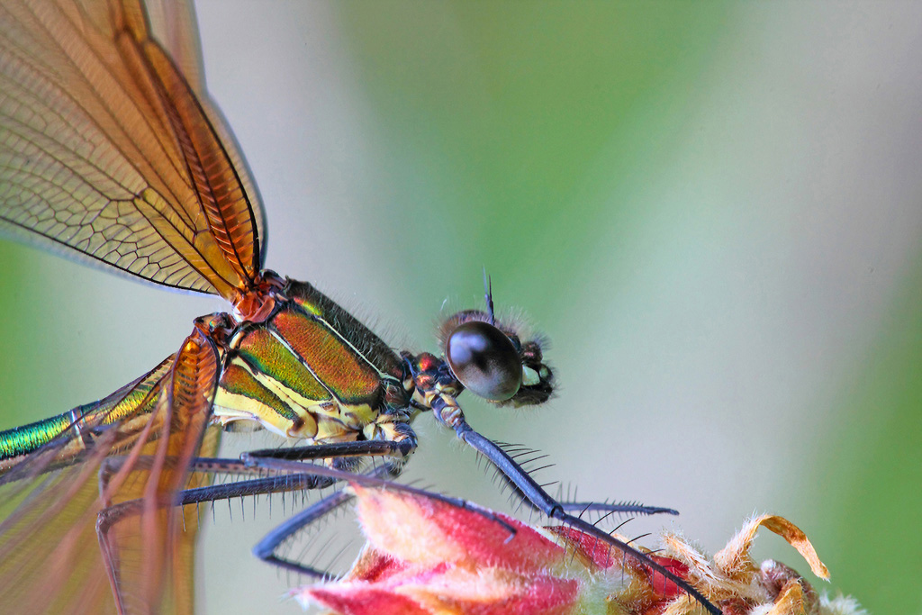 ...Vista Da Vicino...!!!