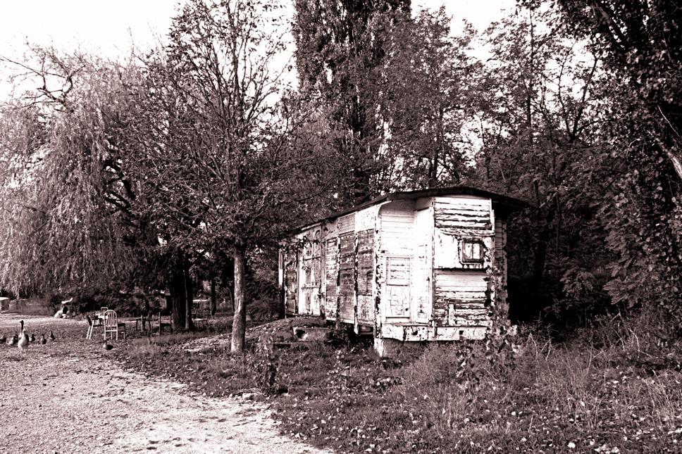 C'era una volta il treno...#1