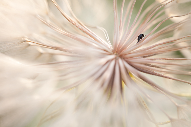 Il peso della giornata