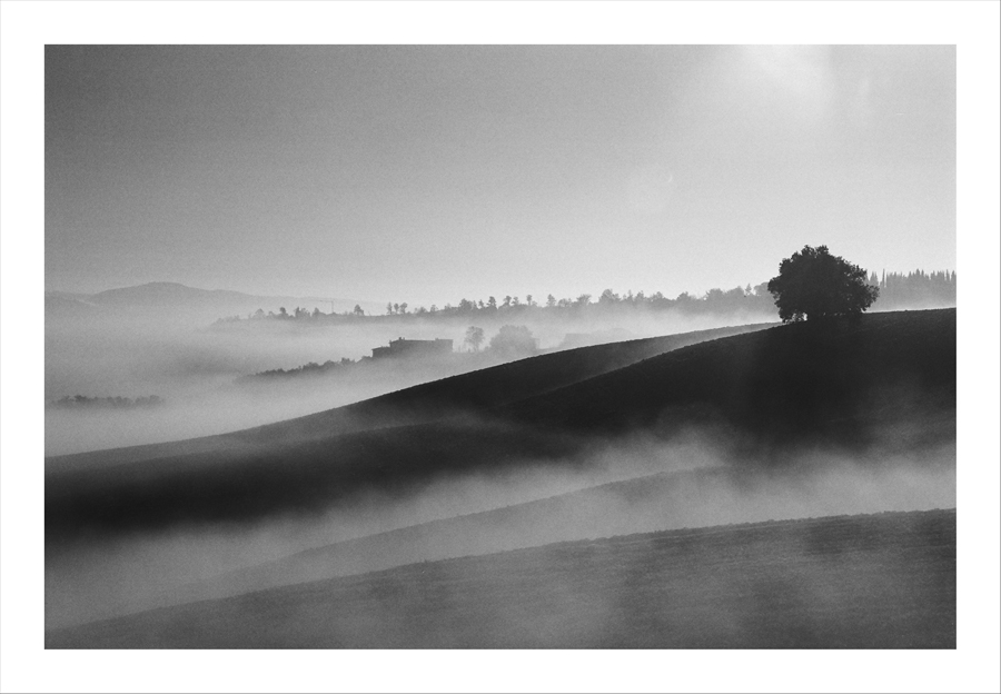 Nebbia, in bianco e nero