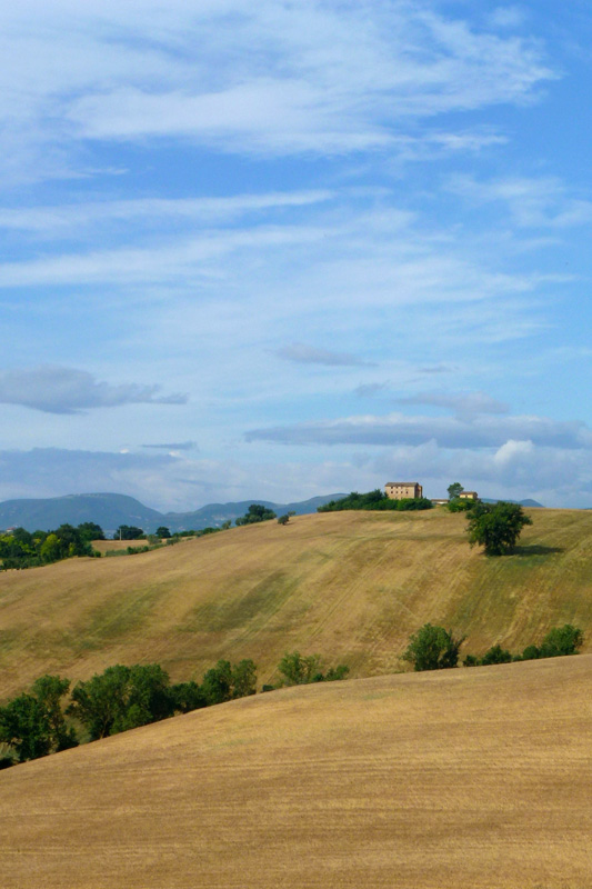 Colline marchigiane