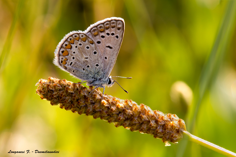 Il tepore dell'alba.
