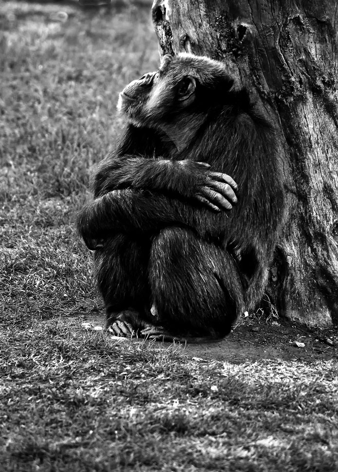 non mi faccio fotografare......