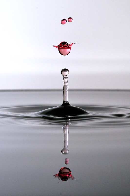 Il Re e i suoi cavalieri