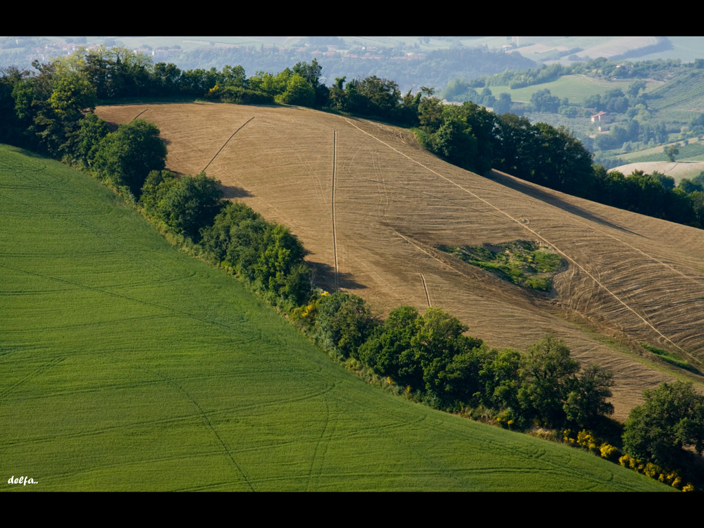 SCENDE LA PIOGGIA,DOVE VA..