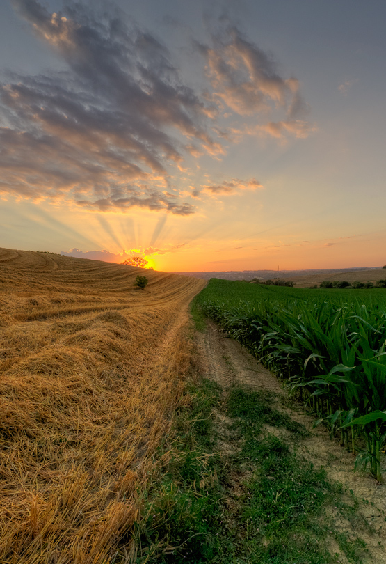 EMOZIONI DI UNA TERRA