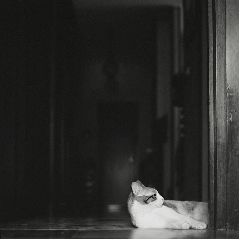 complementi d'arredo