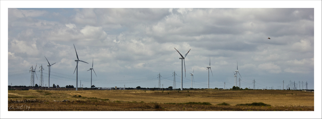 ....guarda.... come girano!