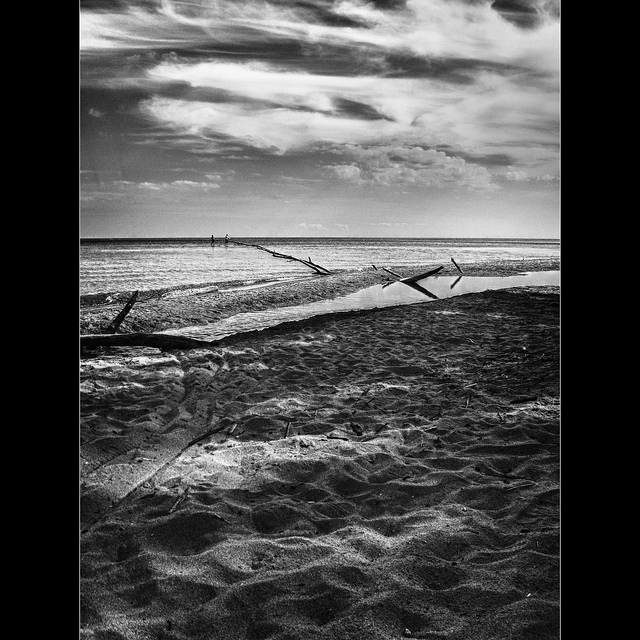 e frig la toronto! no, not really