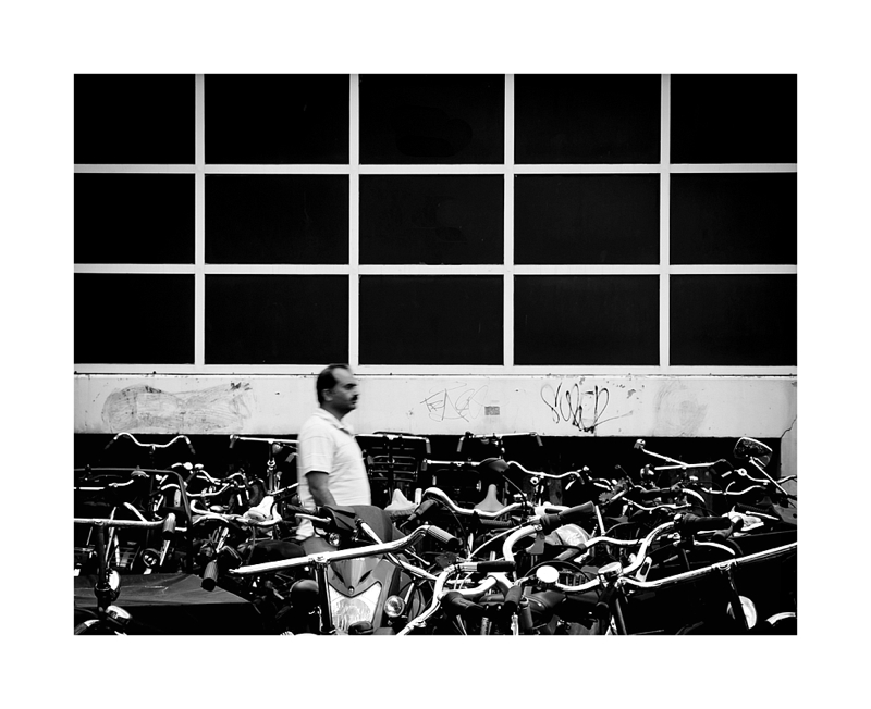 Razionalit� e Caos