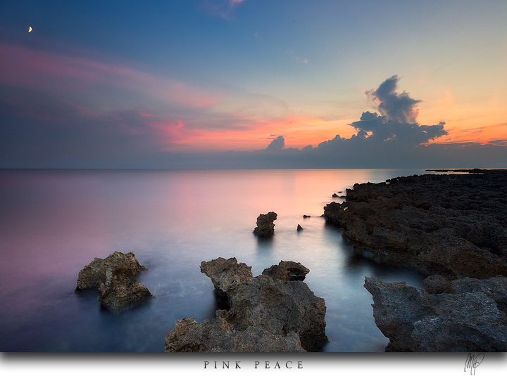 Pink Peace