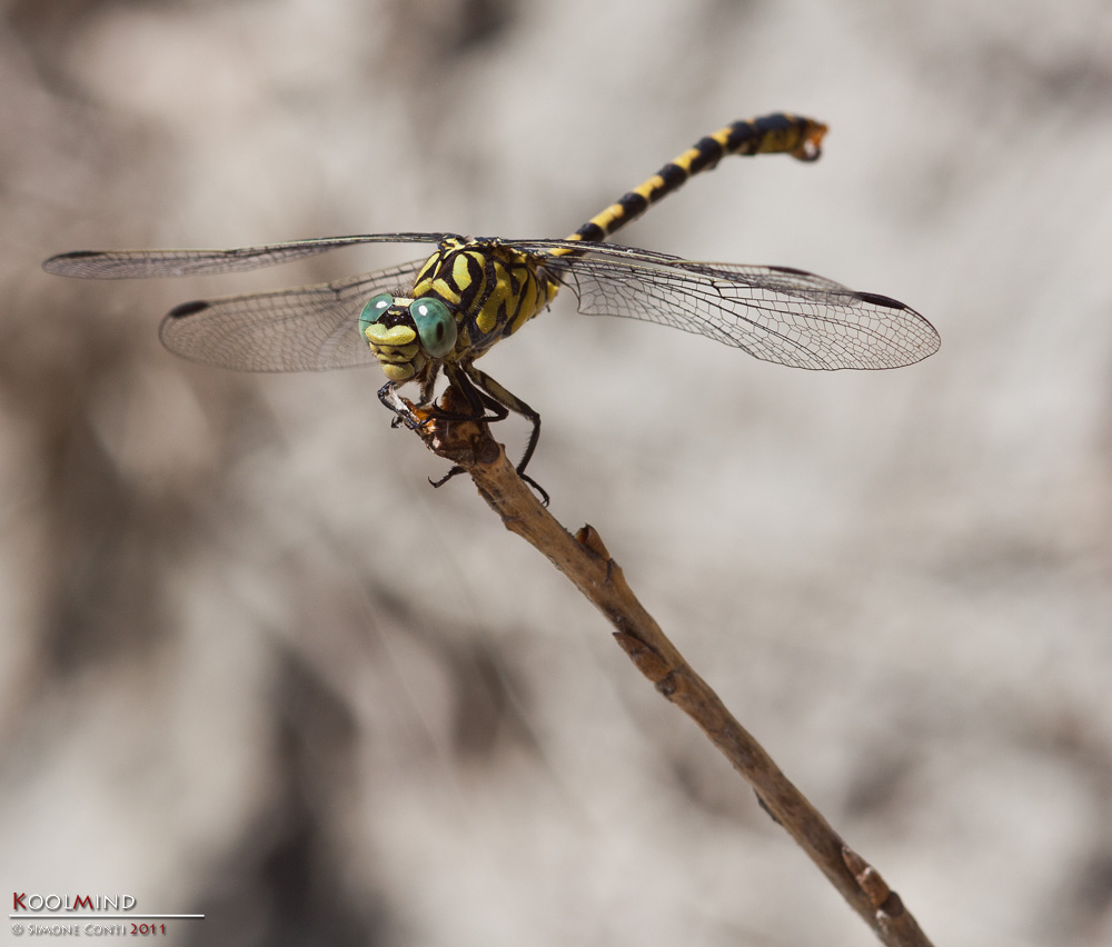 Tu un fotografo??? Ahahahaha!!!!!