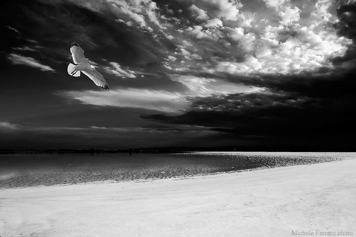 The flight after the storm .....