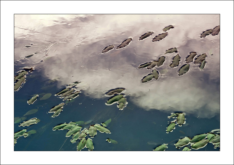 Come un denso fluire...