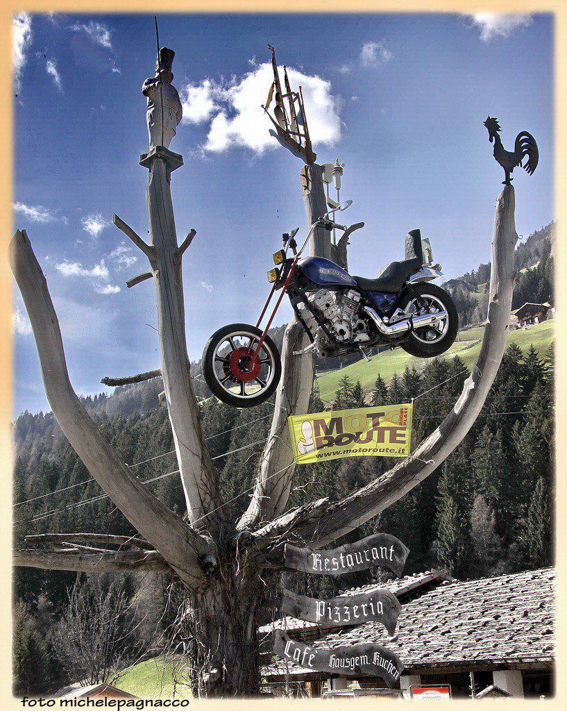 Albero della cuccagna