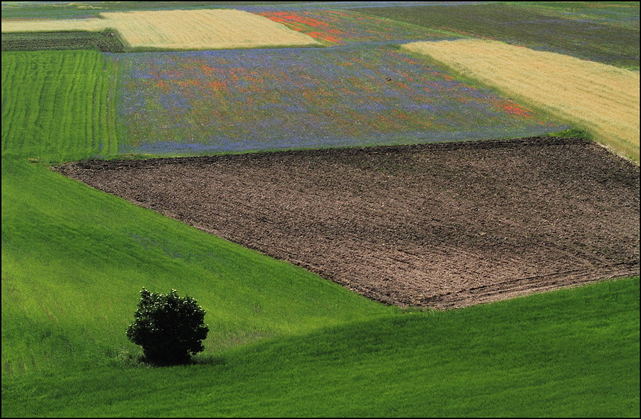 I colori della Terra