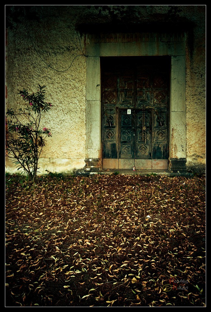 :: Io sono leggenda.. ::