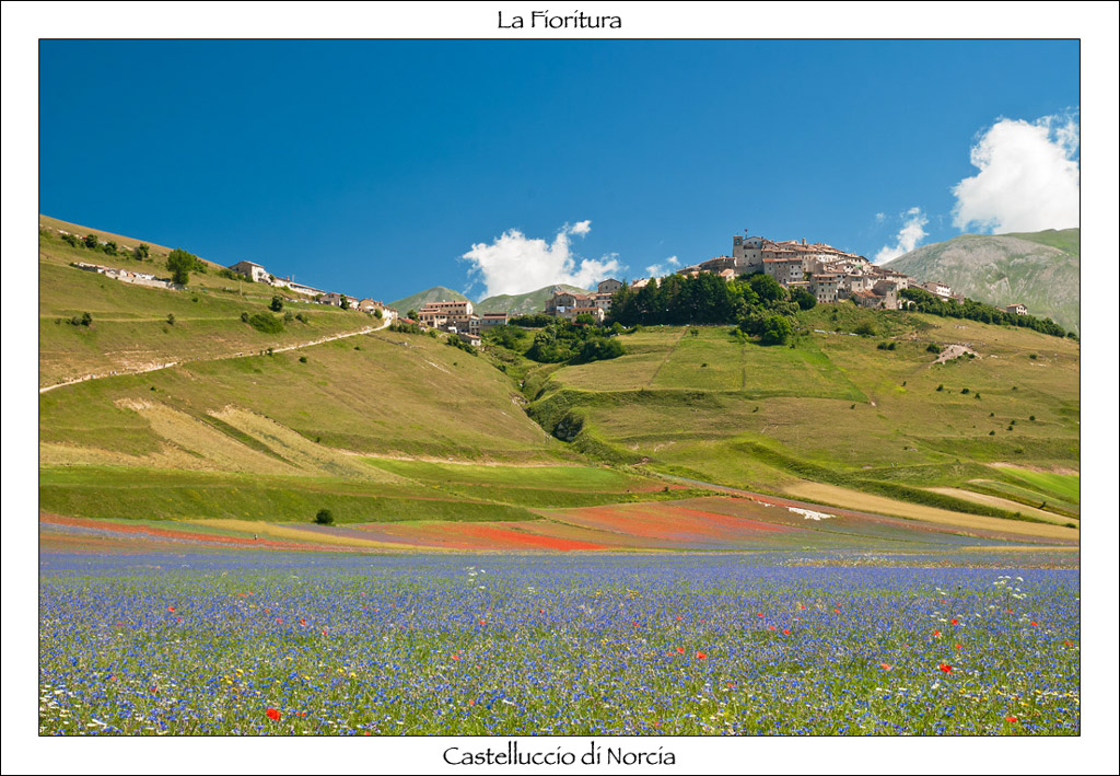 La Fioritura di Castelluccio di Norcia
