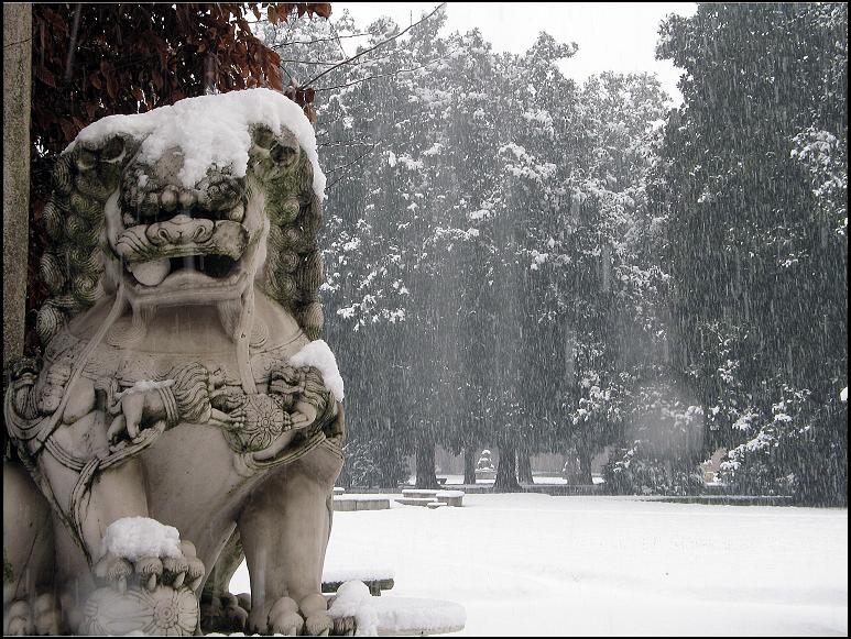 Il guardiano del Parco