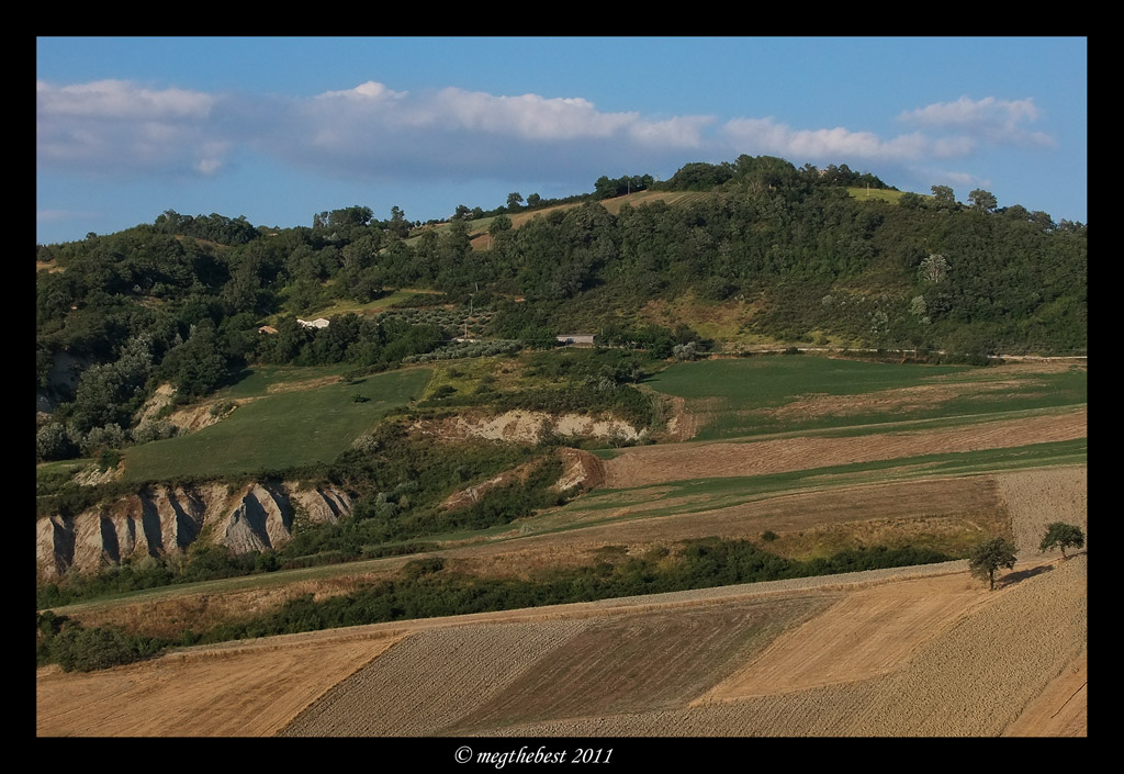 campagne marchigiane