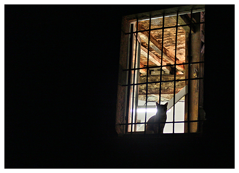 dalla finestra sul cortile....