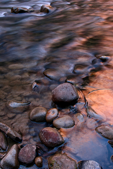 Riflessi di colore, Zion National Park, Utah