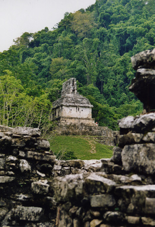 messico repoerti arche