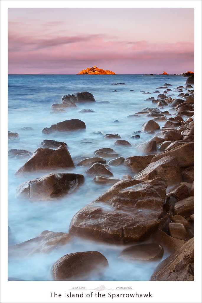 The Island of the Sparrowhawk