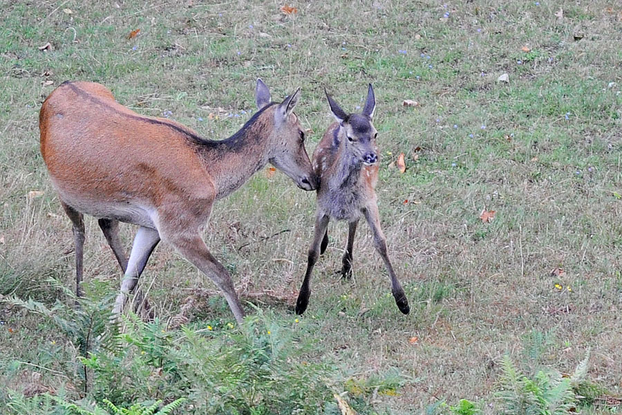la spinta nella vita