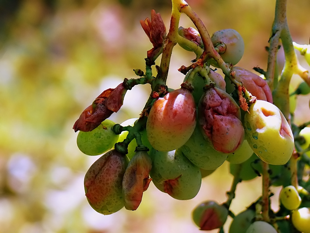 La natura da.....la natura toglie!!!!