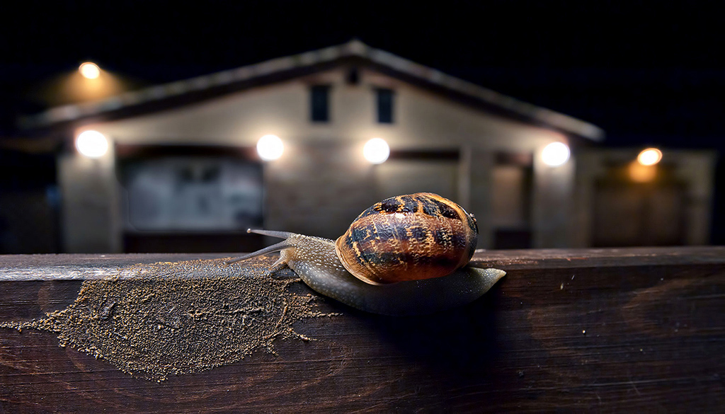 .....slowly in the night