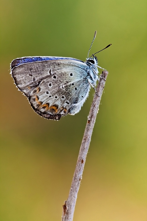 Nonostante tutto..........