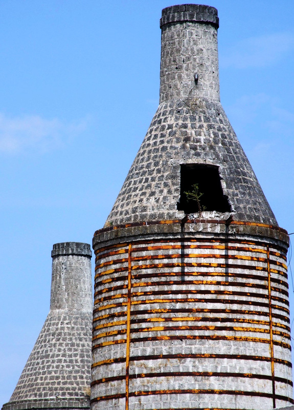 La natura non conosce limiti