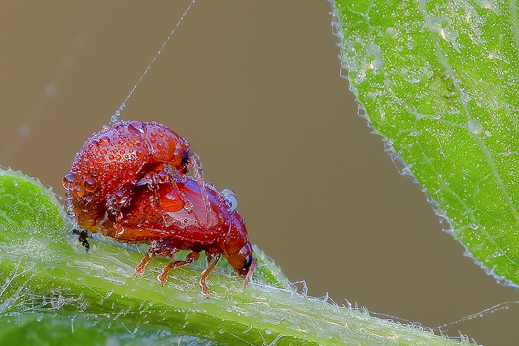 "questo si che � amore....................."