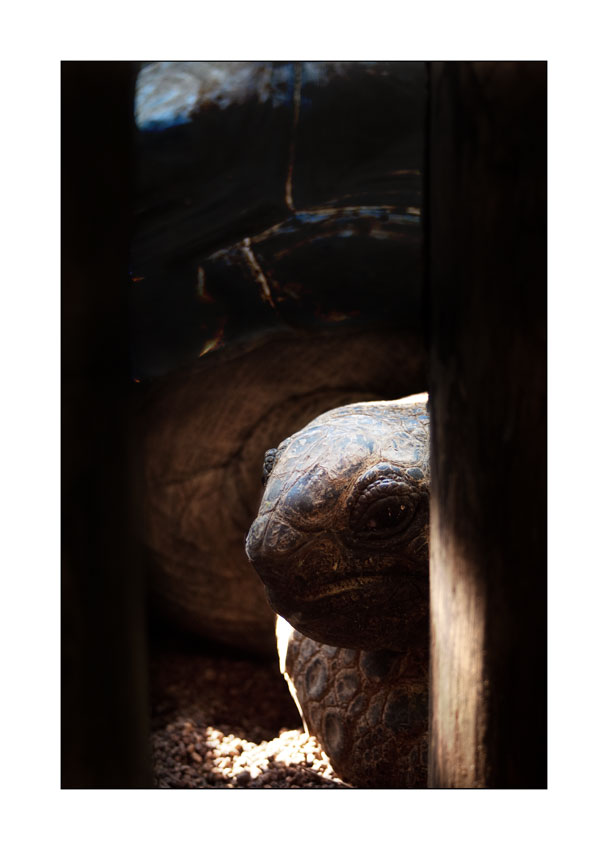 Se i giovani sapessero...