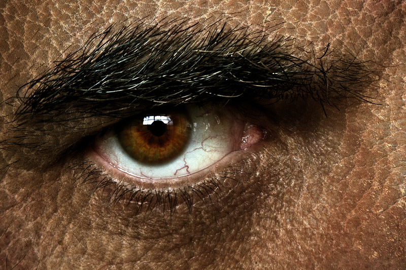 Autoritratto di Mutante