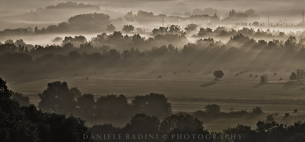 ..raggi sulla rugiada...