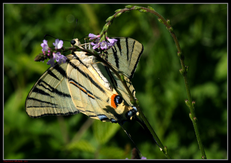 La prima volta che la incontro � meravigliosa