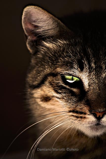 Riflessioni a met�