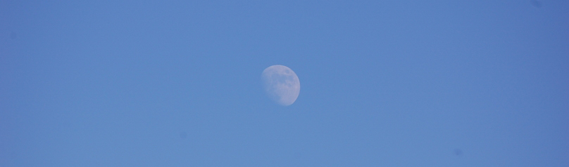 The Moon
